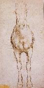 LEONARDO da Vinci Study of the proportion of horses oil painting reproduction